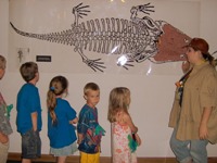 Akron Fossils & Science Center
